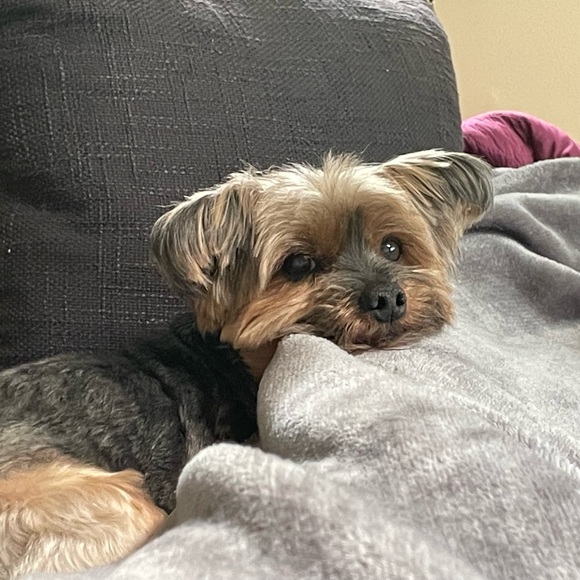 Meet your Posher, Marie - Picture 4 of 4